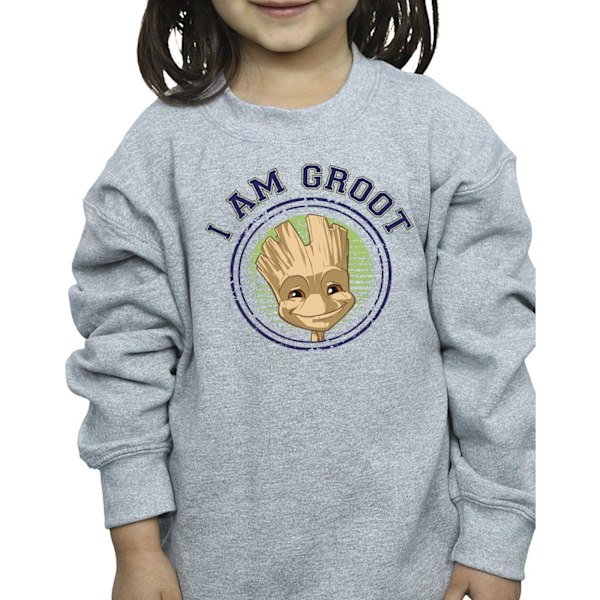 Guardians Of The Galaxy Girls Groot Varsity Sweatshirt 3-4 År Sports Grey 3-4 Years