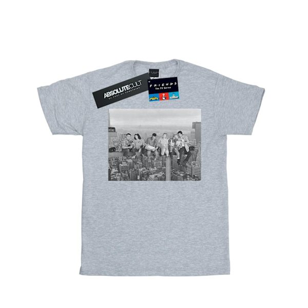 Friends Damkläder/Damkonstruktion Foto Bomull Boyfriend T-Shi Sports Grey S
