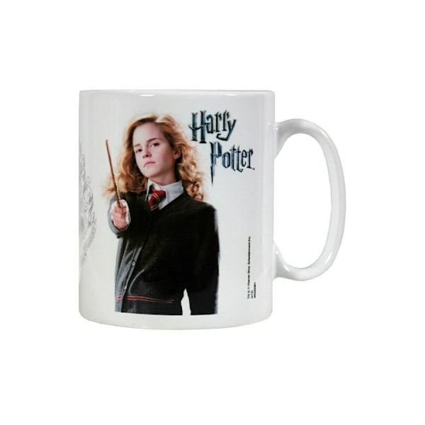 Harry Potter Hermione Mugg En Storlek Flerfärgad Multicoloured One Size