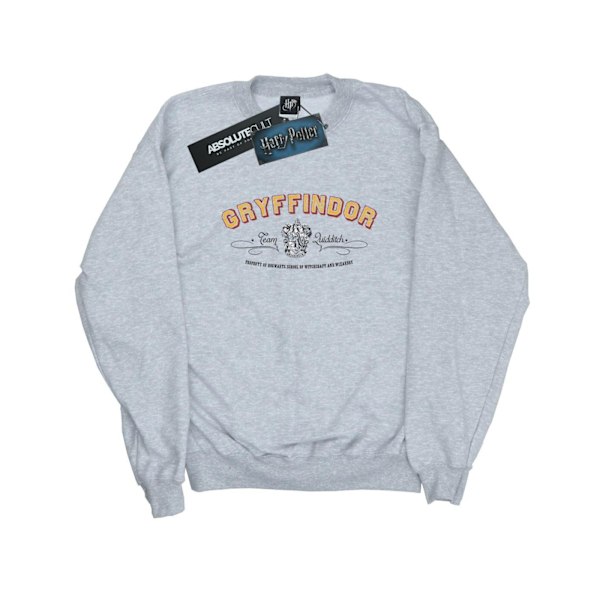 Harry Potter Herr Gryffindor Team Quidditch Sweatshirt L Sports Sports Grey L