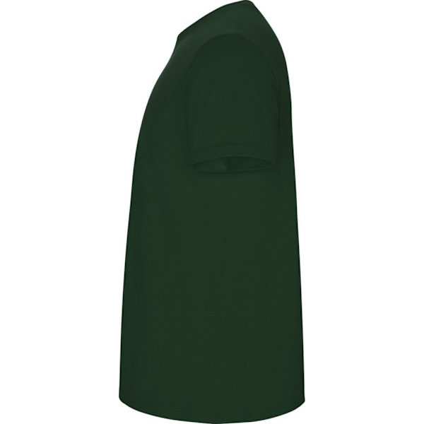 Roly Barn/Barn Stafford Kortärmad T-shirt 7-8 År Bo Bottle Green 7-8 Years