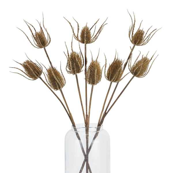 Hill Interiors Tistel Konstgjord Blomma Trippel En Storlek Brun Brown One Size