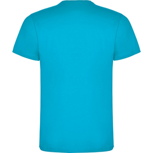 Roly Barn/Kids Dogo T-shirt 5-6 år Turkos Turquoise 5-6 Years