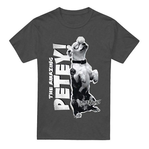 The Little Rascals Unisex Vuxen Amazing Petey T-Shirt M Charcoa Charcoal M
