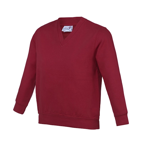 Awdis Barn/Barn Akademi V-ringad Sweatshirt 13 År Claret Claret Red 13 Years