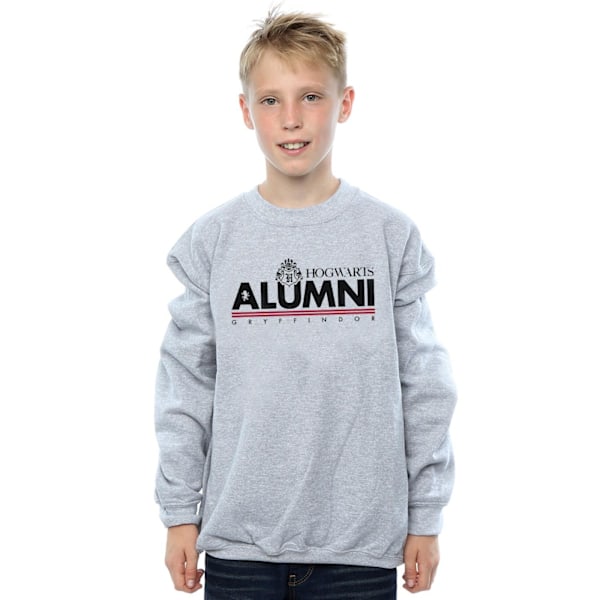 Harry Potter Boys Hogwarts Alumni Gryffindor Sweatshirt 12-13 år Sports Grey 12-13 Years