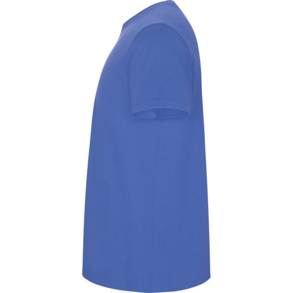 Roly Barn/Barn Stafford Kortärmad T-shirt 7-8 År Ri Riviera Blue 7-8 Years