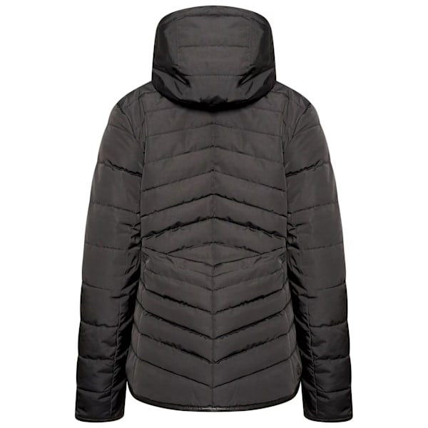 Dare 2B Dam/Kvinnor Striking Vadderad Jacka 12 UK Svart Black 12 UK