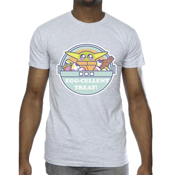 Star Wars Mens The Mandalorian Eggcellent Easter T-Shirt S Spor Sports Grey S