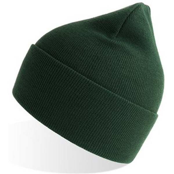 Atlantis Unisex Vuxen Ren Beanie i Återvunnet Material One Size Bottle Green Bottle Green One Size