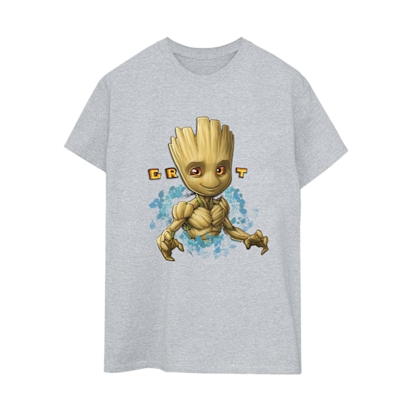 Guardians Of The Galaxy Dam/Damer Groot Blommor Bomull Boyf Sports Grey S