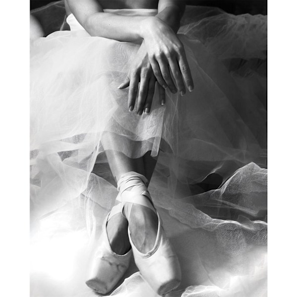 Roberta L´attesa Canvas Print 80cm x 60cm Grå Grey 80cm x 60cm