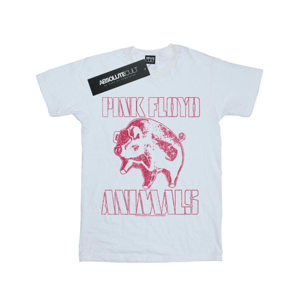 Pink Floyd Boys Animals Algie T-shirt 12-13 år Vit White 12-13 Years