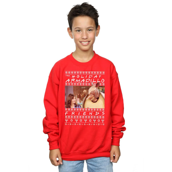 Friends Boys Fair Isle Holiday Armadillo Sweatshirt 5-6 år R Red 5-6 Years