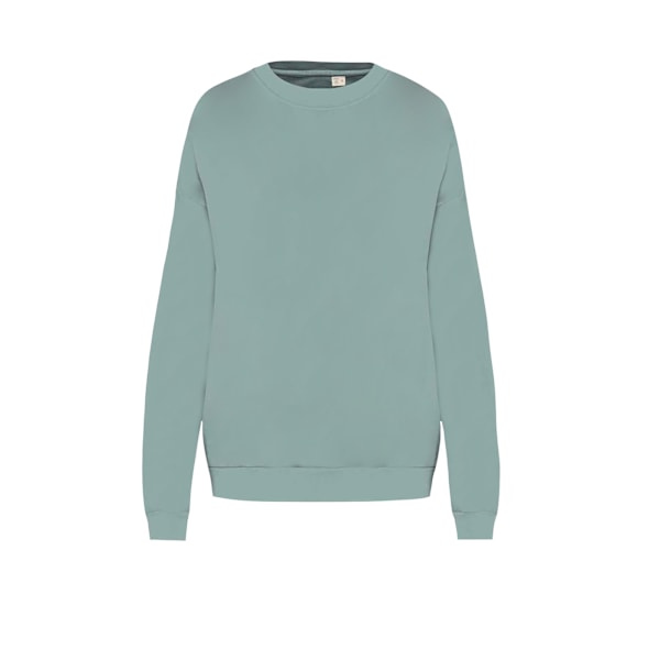 Native Spirit Unisex Vuxen Terrycloth Oversized Sweatshirt XS W Washed Jade Green XS