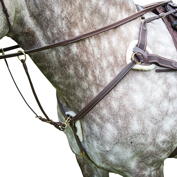 Salisbury Läderstygn Hästbröstplatta Ponny Australisk Nöt Australian Nut Pony