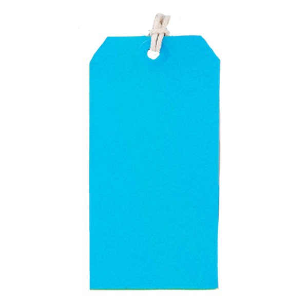 County Stationery Tie On Parcel Labels (12 förpackningar med 10) En storlek Multicoloured One Size