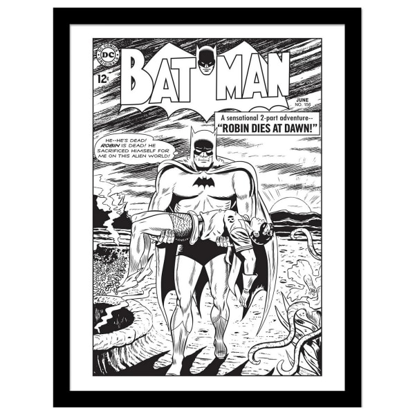 Batman Robin Dies At Dawn Comic Cover Print 40cm x 30cm Svart/B Black/White 40cm x 30cm