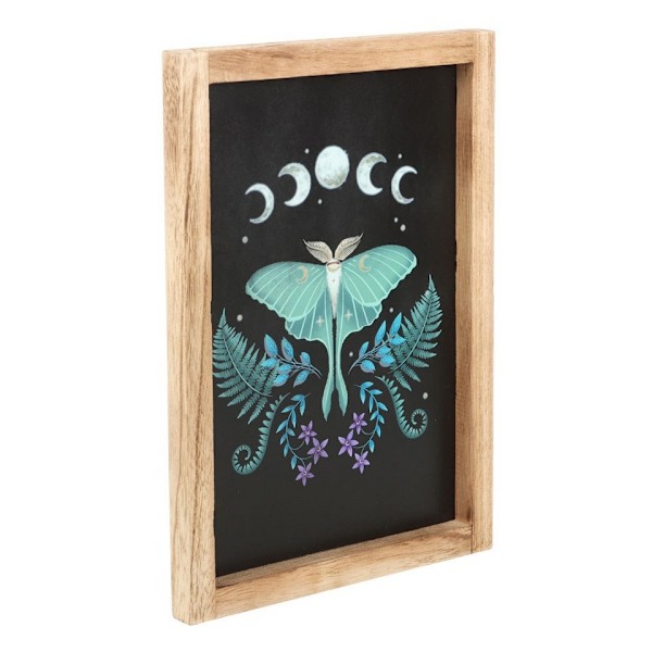 Something Different Träram med Luna Moth-motiv, En Storlek, Svart Black/Purple/Green One Size