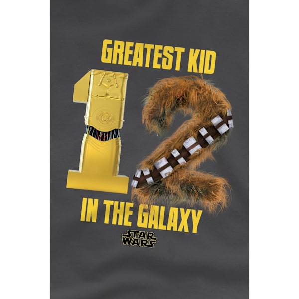 Star Wars Barn/Barn Största Barn C3PO R2-D2 T-Shirt 5-6 År Charcoal 5-6 Years