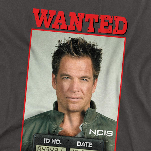 NCIS Unisex Vuxen Wanted T-Shirt S Gråmelerad Charcoal S