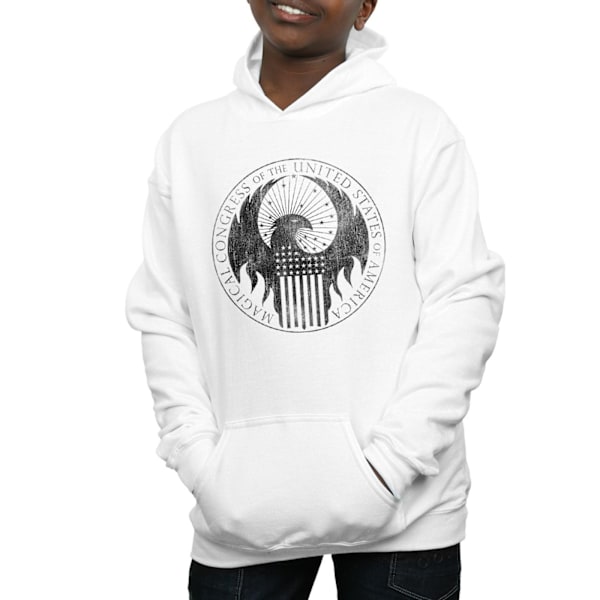 Fantastiska vidunder Pojkar Distressed Magical Congress Hoodie 9-11 år White 9-11 Years