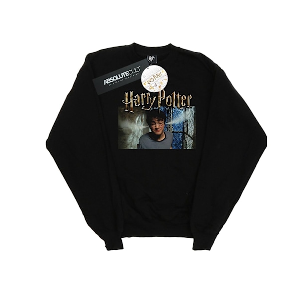 Harry Potter Boys Steam Ears Sweatshirt 7-8 år Svart Black 7-8 Years