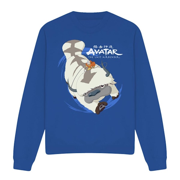 Avatar: The Last Airbender Unisex Vuxen In Flight Appa Sweatshirt Royal Blue M