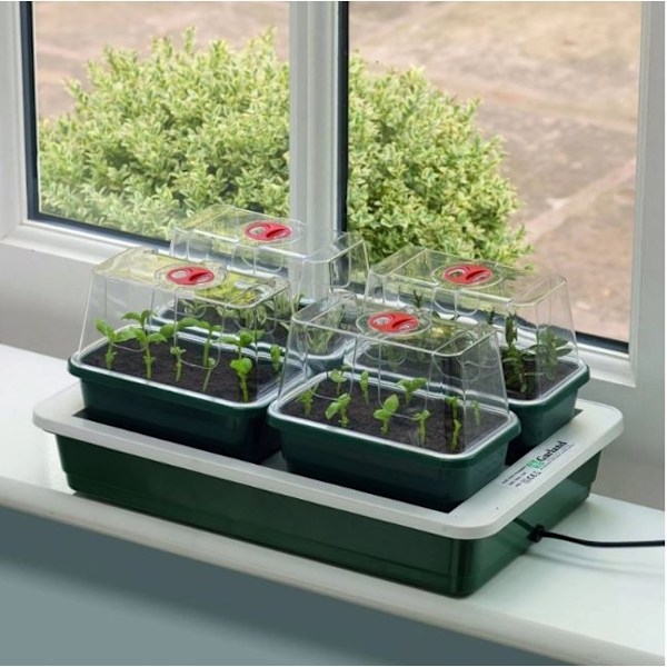 Garland Fab 4 Elektrisk Förökare (EU-kontakt) 38,5 x 24 x 15,5 cm Green 38.5 x 24 x 15.5cm