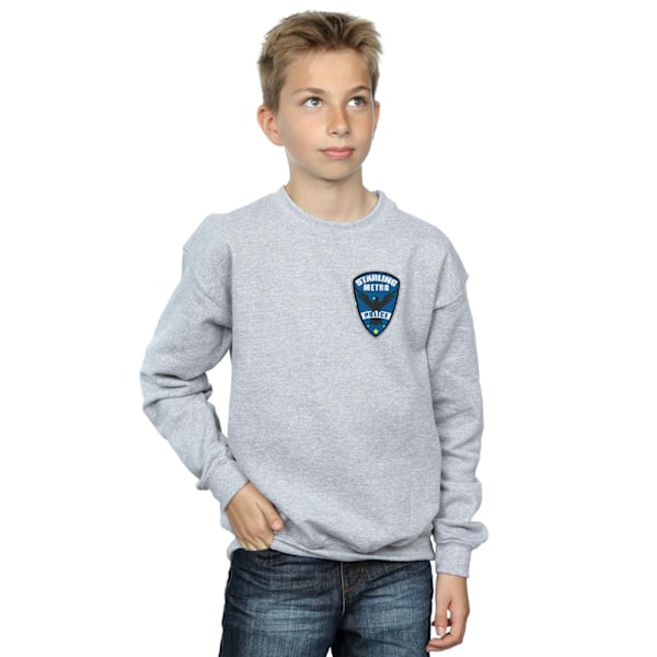 DC Comics Boys Arrow Starling Metro Badge Sweatshirt 5-6 år Sports Grey 5-6 Years