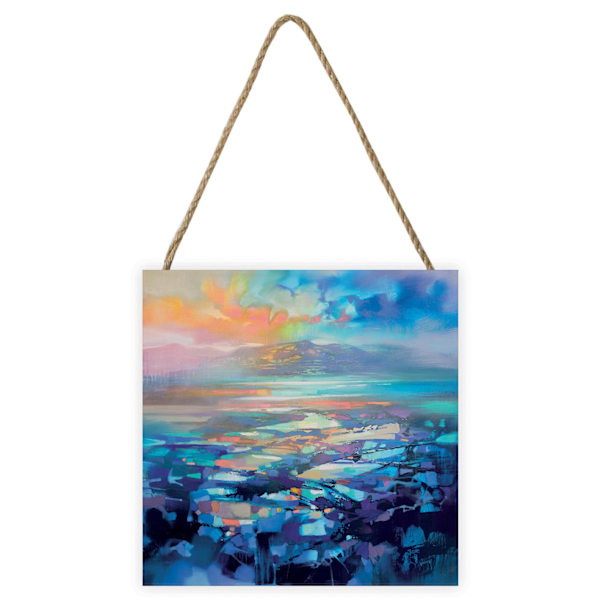 Scott Naismith Hebridean Resonance 2 Träplakett En Storlek Flerfärgad Multicoloured One Size