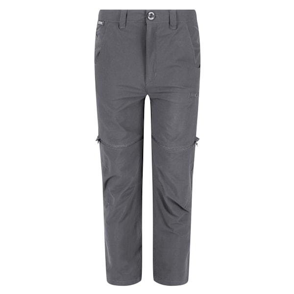 Regatta Highton Stretch Zip-Off Vandringsbyxor för Barn Seal Grey 5-6 Years
