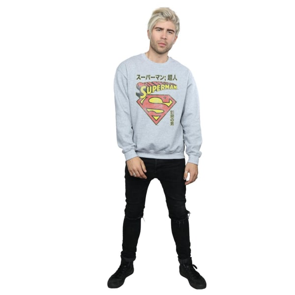 DC Comics Herr Superman Shield Sweatshirt 3XL Sports Grey Sports Grey 3XL