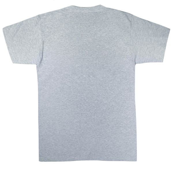 Marvel Girls Avengers Team Burst Bomull T-shirt 9-11 år Spor Sports Grey 9-11 Years