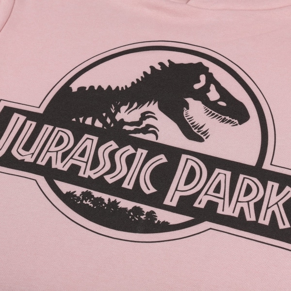 Jurassic Park Logo Hoodie Dam/Dam S Dammrosa Dusty Pink S