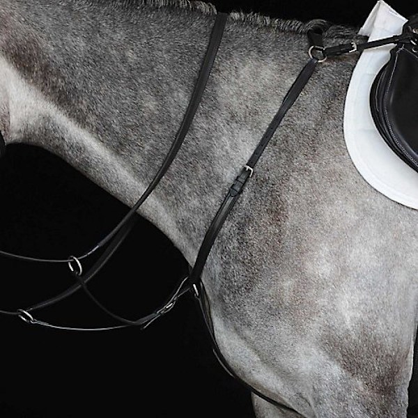 Collegiate Hunter Bröstplatta IV Warmblood Svart Black Warmblood