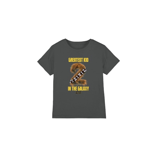 Star Wars Barn/Barn Största Barnet Chewbacca T-Shirt 3-4 År Charcoal 3-4 Years