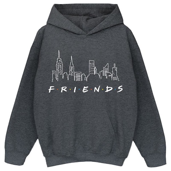 Friends Girls Skyline Logo Hoodie 12-13 år Mörkgråmelerad Dark Heather Grey 12-13 Years