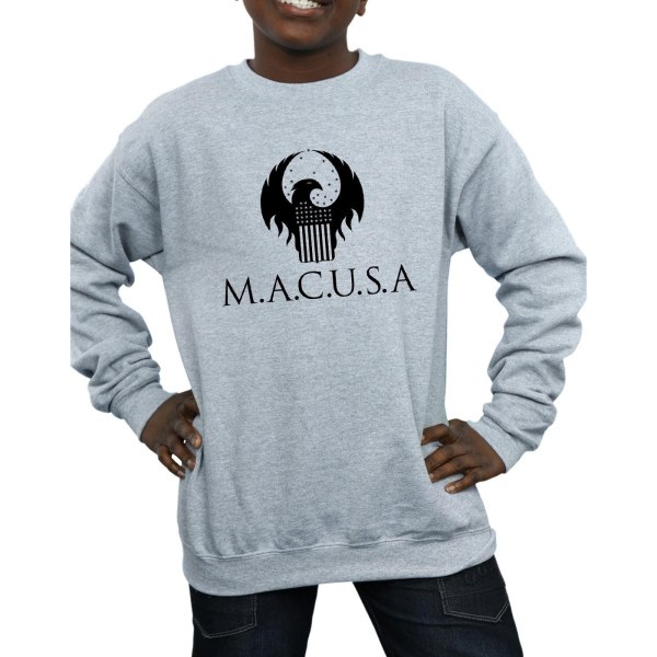 Fantastic Beasts Boys MACUSA Logo Sweatshirt 12-13 Years Sports Sports Grey 12-13 Years