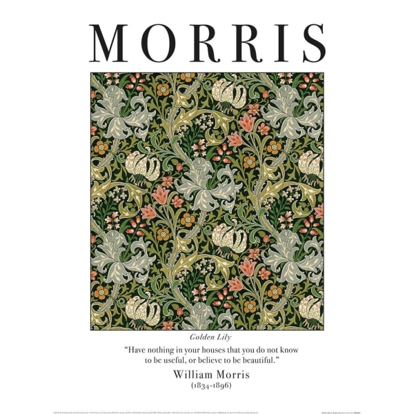 William Morris Golden Lily Print 40cm x 30cm Grön/Vit/Svart Green/White/Black 40cm x 30cm