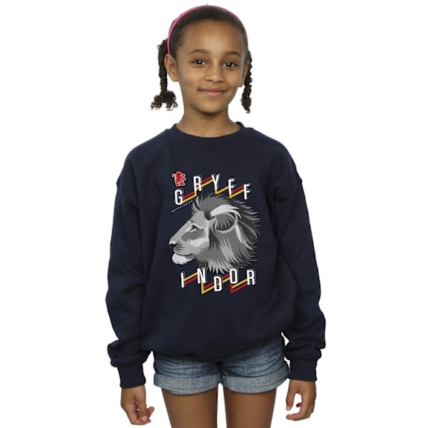 Harry Potter Tjejer Gryffindor Lion Icon Sweatshirt 3-4 År Marinblå Navy Blue 3-4 Years