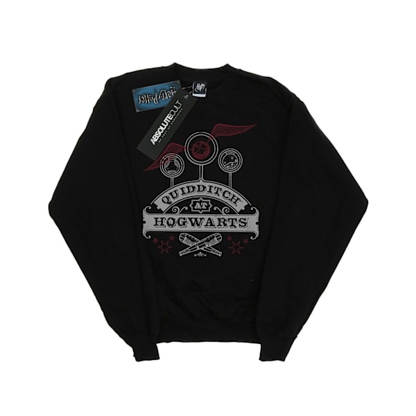 Harry Potter Quidditch på Hogwarts Sweatshirt för flickor 7-8 år B Black 7-8 Years
