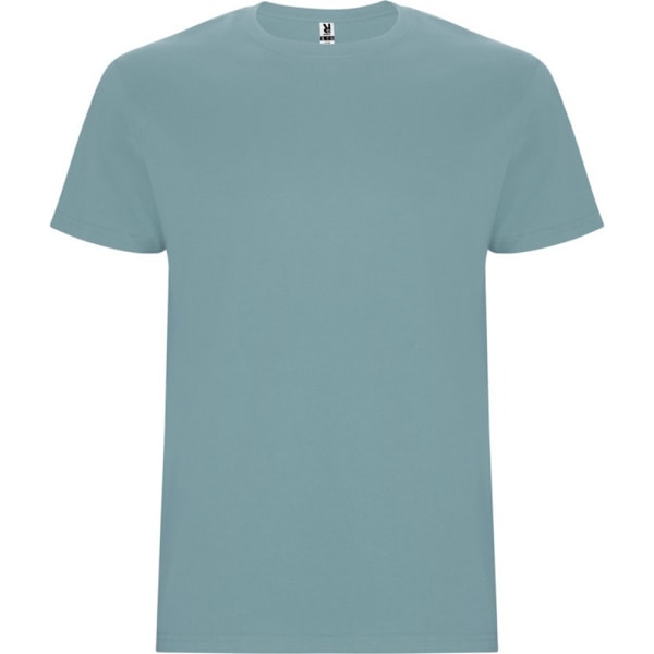Roly Barn/Barn Stafford Kortärmad T-shirt 5-6 år Du Dusty Blue 5-6 Years
