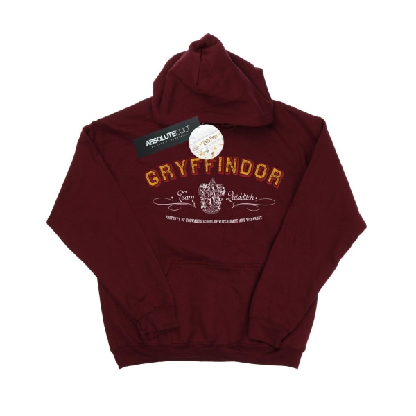 Harry Potter Boys Gryffindor Team Quidditch Hoodie 3-4 Years Bu Burgundy 3-4 Years