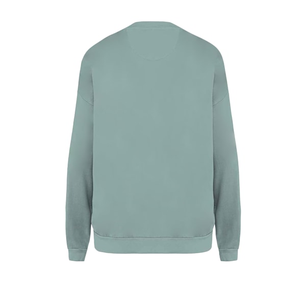 Native Spirit Unisex Vuxen Terrycloth Oversized Sweatshirt XS W Washed Jade Green XS