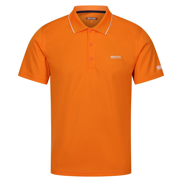 Regatta Maverick V Aktiv Poloshirt för Herrar Storlek L Persika Persimmon L