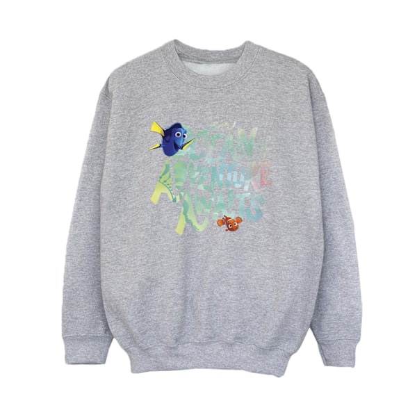 Disney Boys Finding Dory Ocean Of Adventure Sweatshirt 3-4 År Sports Grey 3-4 Years