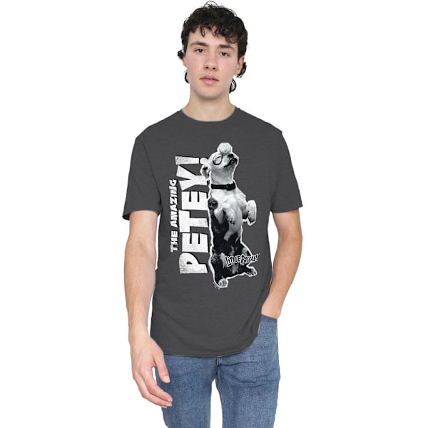 The Little Rascals Unisex Vuxen Amazing Petey T-Shirt M Charcoa Charcoal M