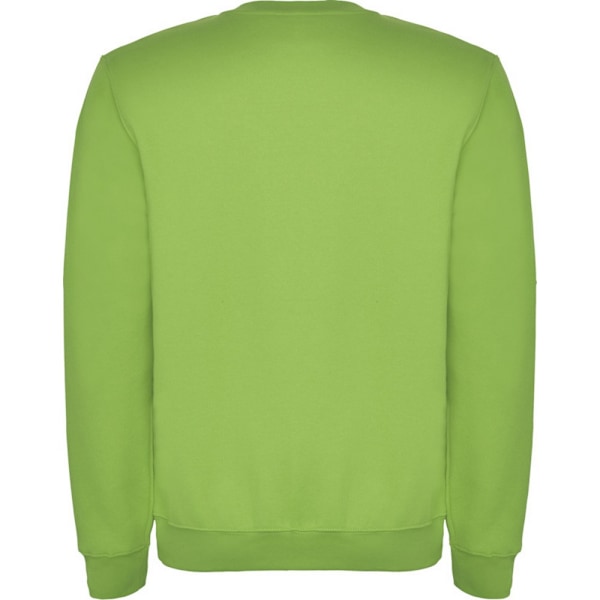 Roly Unisex Vuxen Clasica Crew Neck Sweatshirt XXL Oasis Green Oasis Green XXL