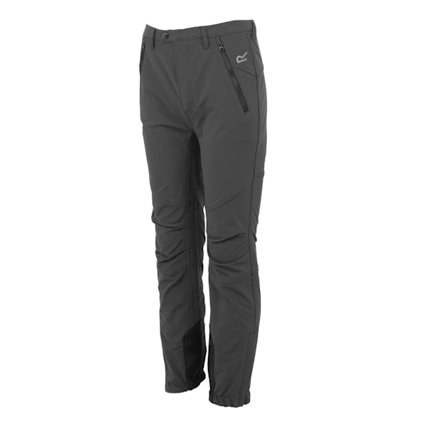 Regatta Barn/Kids Tech Mountain Vandringsbyxor 5-6 År Seal Grey 5-6 Years